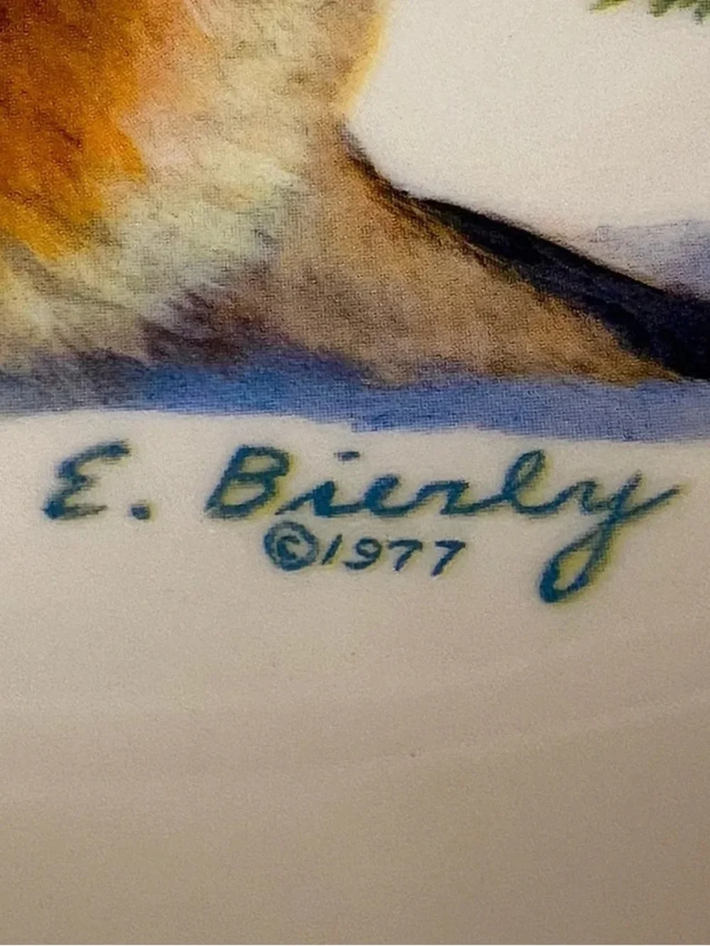 White Ceramic Decorative Plates with Fox & Chipmunk Nature Illustrations